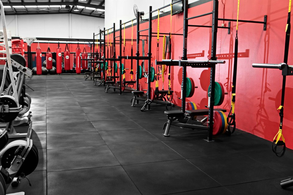 XFC Gym Equipment