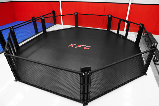 XFC Competition Cage